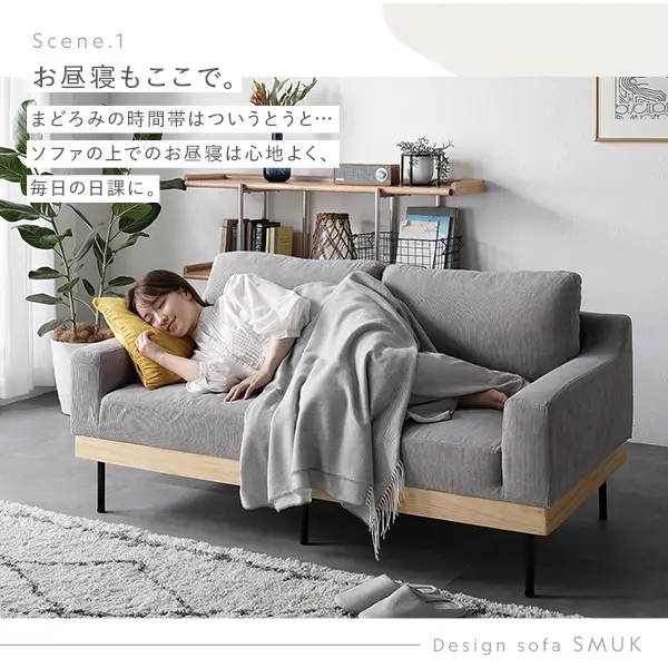 ソファ 2人掛け 単品 肘付き カバーリング 天然木 2P 組立品