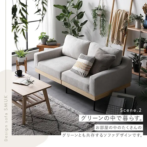 ソファ 2人掛け 単品 肘付き カバーリング 天然木 2P 組立品
