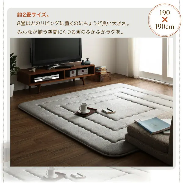 厚み40mmのふっくら厚敷きクッションラグ Vermeer フェルメル