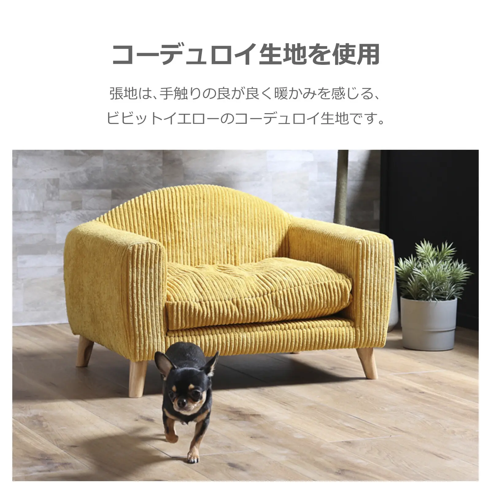 ペット用ソファ HARDEN (ハーデン)